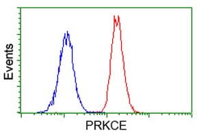 PRKCE / PKC-Epsilon Antibody (clone OTI3A12, Carrier-free)