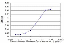 IHC-plus™ CFLAR / FLIP Antibody (clone 2F12)