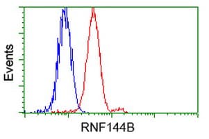 RNF144B Antibody (clone OTI11F4)