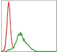 RPS6KA3 / RSK2 Antibody (clone 40000000000)