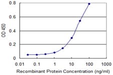 IHC-plus™ Monoclonal Mouse anti-Human RGS3 Antibody (clone 1E8-C7, IHC, IF, WB)