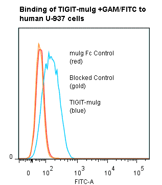 Human TIGIT Protein (Fusion)