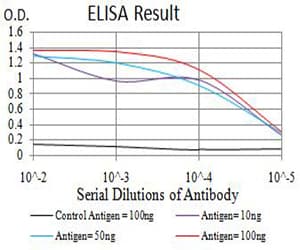 BCL2L10 / Diva Antibody (clone 8A11G12)