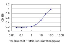 PIK3R4 Antibody (clone 1B5)