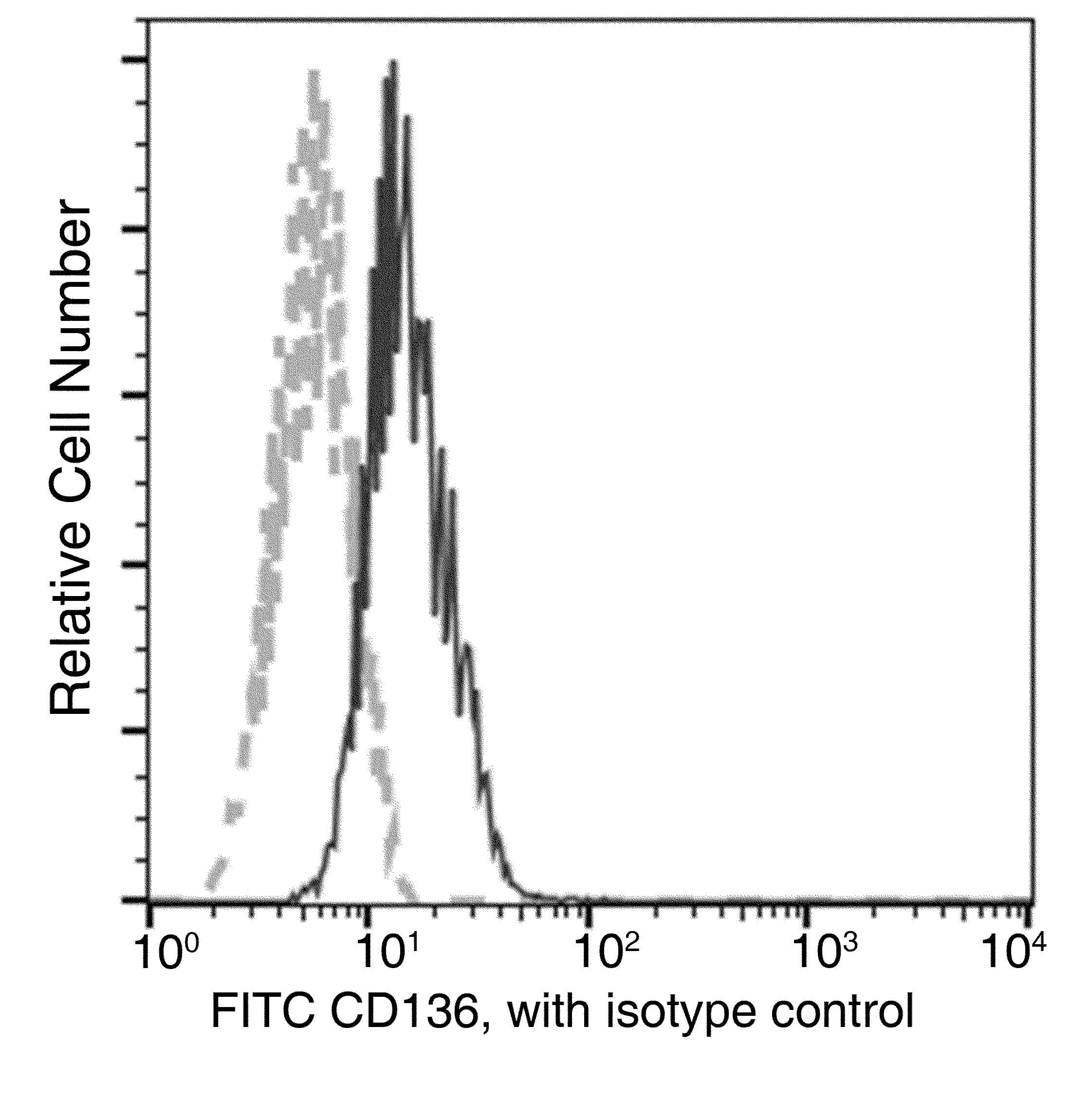 MST1R / RON Antibody (clone 03, FITC)