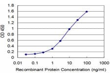 Monoclonal Mouse anti-Human JAG2 / Jagged-2 Antibody (clone 4C8, WB)