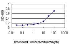 IHC-plus™ Monoclonal Mouse anti-Human Ghrelin Antibody (clone 4B8, IHC, WB)