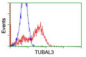 Monoclonal Mouse anti-Human TUBAL3 Antibody (clone OTI4D9, IHC, WB)