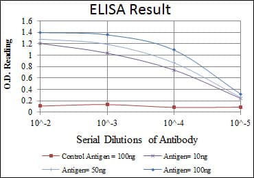 CDK1 / CDC2 Antibody (clone 5A6)