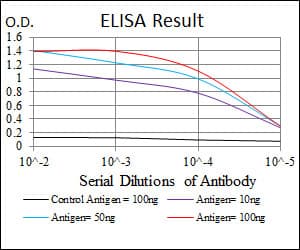 Monoclonal Mouse anti-Human MAP2K7 / MEK7 Antibody (clone 4E5, IHC, IF, WB)
