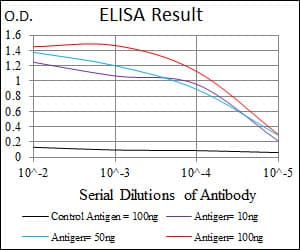 Monoclonal Mouse anti-Human FOS / c-FOS Antibody (clone 2G2, IHC, WB)