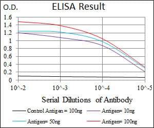 Monoclonal Mouse anti-Human MAPK8 / JNK1 Antibody (clone 1E5, WB)