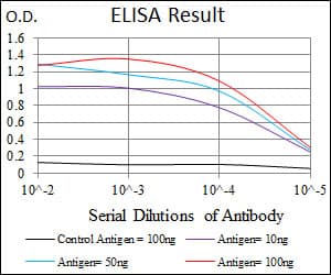KLK3 / PSA Antibody (clone 8A12)