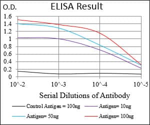 Monoclonal Mouse anti-Human ITGAM / CD11b Antibody (clone 3A10H5, aa623-728, IF, WB)