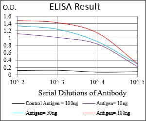 Monoclonal Mouse anti-Human C1qRP / CD93 Antibody (clone 1A10E10, aa474-535, IHC, IF, WB)