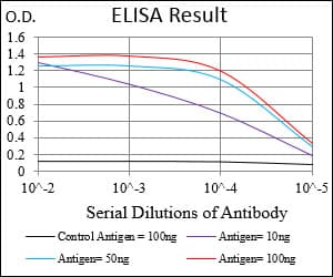 MME / CD10 Antibody (aa52-246, clone 5E9A5)