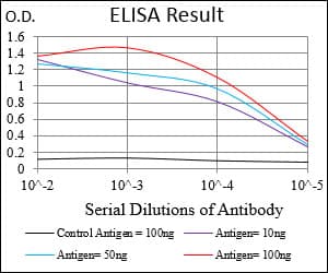 CDX2 Antibody (aa176-303, clone 3G9B9)