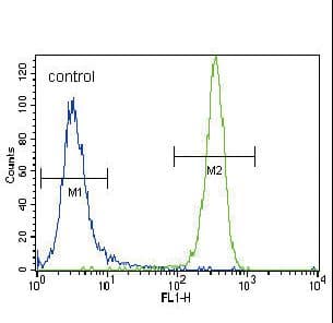 Polyclonal Rabbit anti-Human NRAS / N-ras Antibody (aa147-179, IHC, WB)