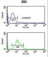 CYP3A43 Antibody (aa242-270)