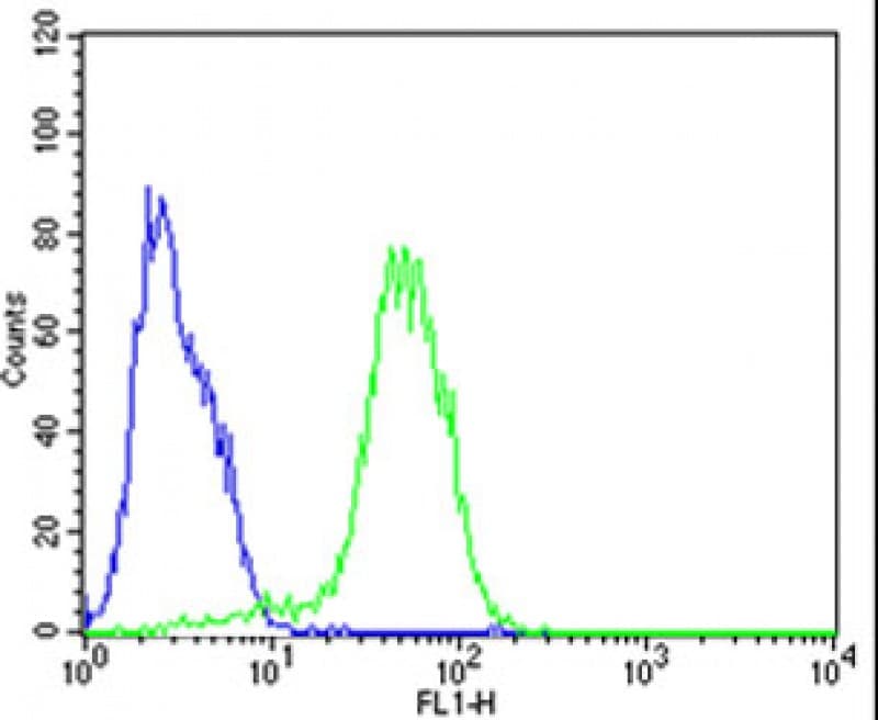 EPCAM Antibody (aa302-335)
