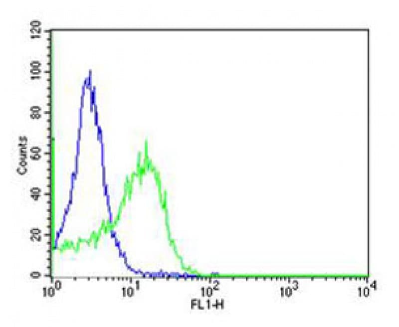 CD34 Antibody (aa356-390)