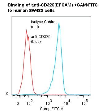 Monoclonal Mouse anti-Human EPCAM Antibody (clone ANC8D4)