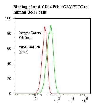FCGR1A / CD64 Antibody (clone 10.1, Fab)