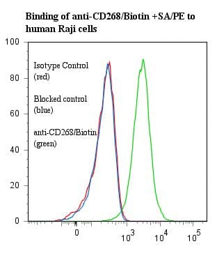 BAFF Receptor / CD268 Antibody (clone ANC268.2/6E6, Biotin)