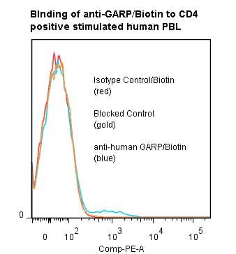 Monoclonal Mouse anti-Human LRRC32 Antibody (clone ANC8C9)