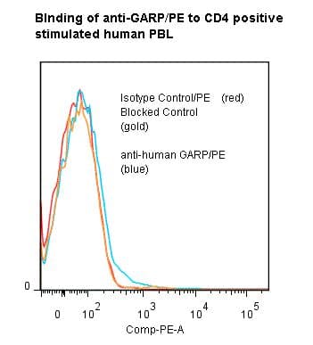 Monoclonal Mouse anti-Human LRRC32 Antibody (clone ANC8C9, RPE)