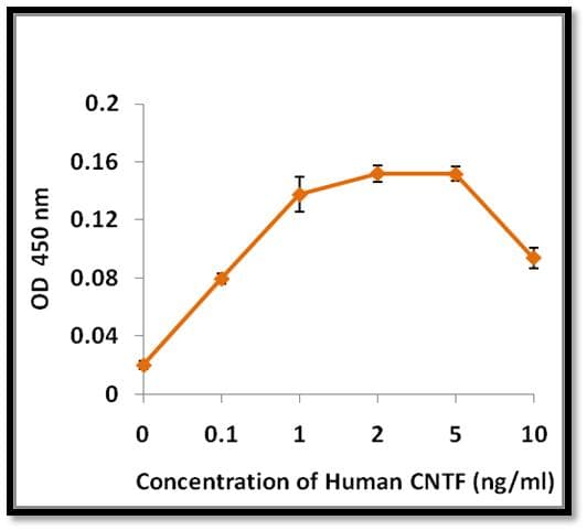 Human CNTF Protein (Recombinant)