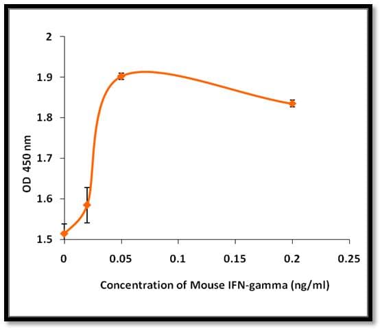 Mouse IFN Gamma / Interferon Gamma Protein (Recombinant)