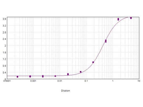 Polyclonal Rabbit anti-Bovine CA2 / Carbonic Anhydrase II Antibody (Liquid, Biotin, WB)
