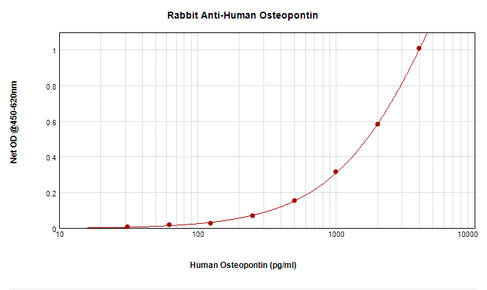 Polyclonal Rabbit anti-Human SPP1 / Osteopontin Antibody (WB)