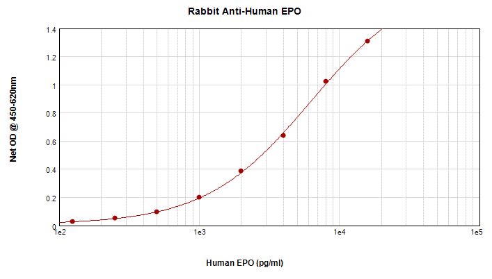 EPO / Erythropoietin Antibody