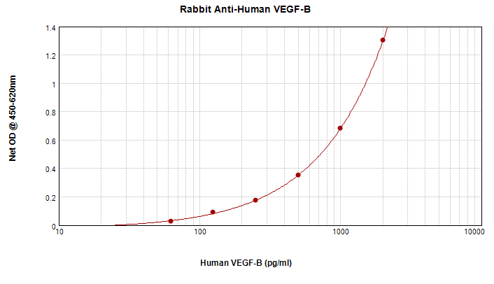 Polyclonal Rabbit anti-Human VEGFB Antibody (WB)