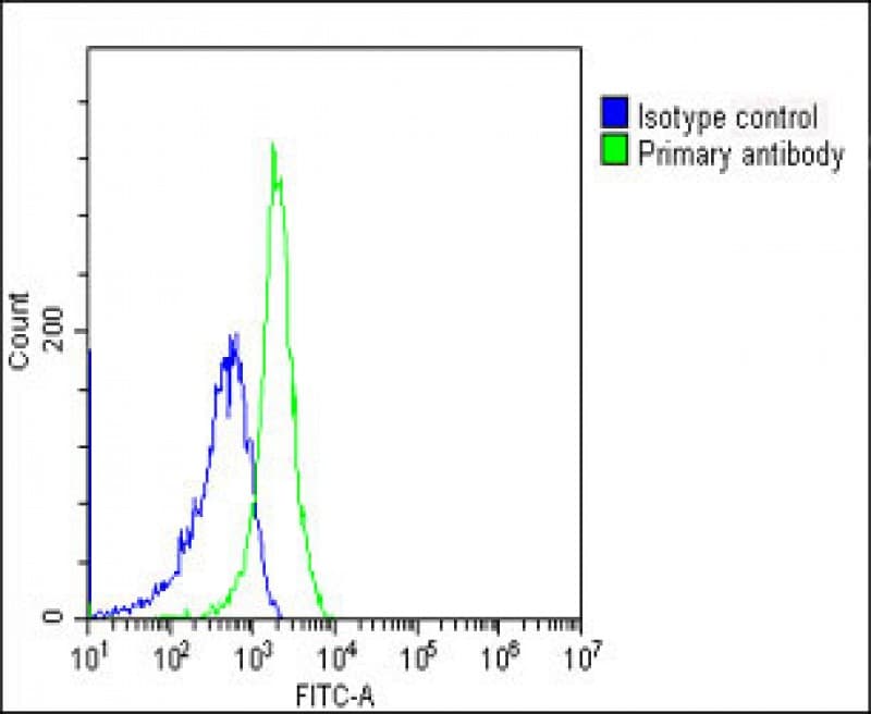 MME / CD10 Antibody (Internal, clone 965CT9.1.1)