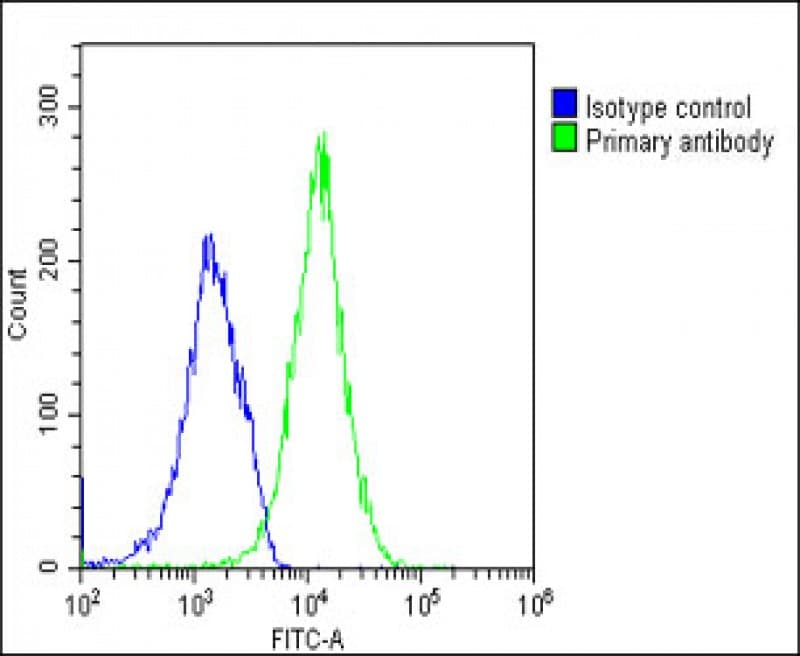 HAVCR2 / TIM-3 Antibody (clone 1827CT151.74.68)