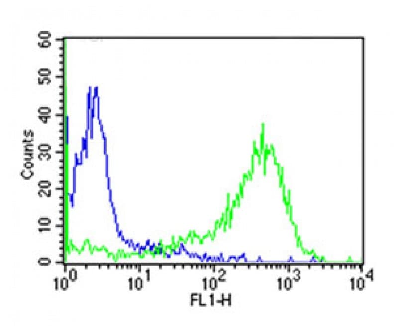 CD7 Antibody (clone T3-3A1 Equivalent)