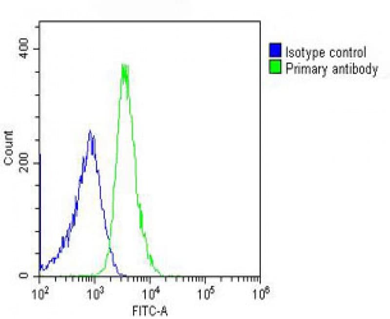 Polyclonal Rabbit anti-Human ITIH4 Antibody (aa784-816, IF, WB)