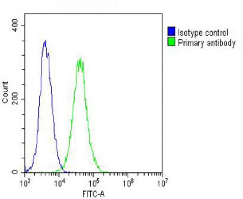 Polyclonal Rabbit anti-Human COXIV / COX4 Antibody (WB)
