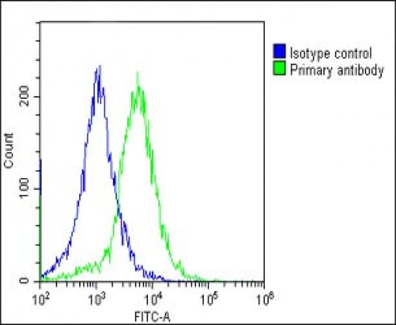 EEF1A1P5 Antibody (C-Terminus)