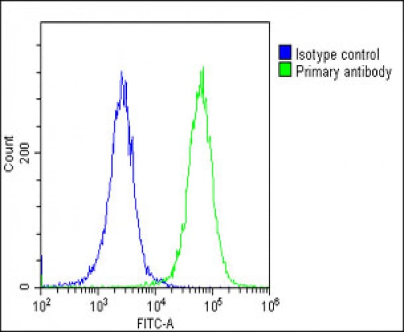CANX / Calnexin Antibody (C-Terminus)