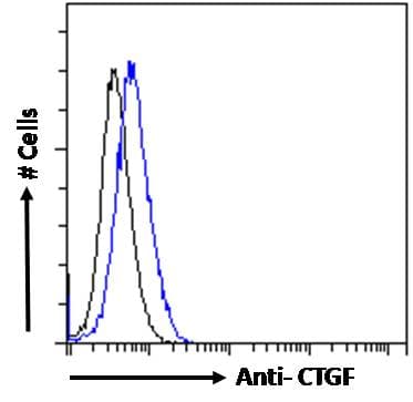 Polyclonal Goat anti-Human CTGF Antibody (C-Terminus, IF)