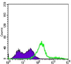 CD3E Antibody (clone 400)
