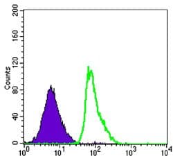 Monoclonal Mouse anti-Human FCER2 / CD23 Antibody (clone 5B5)