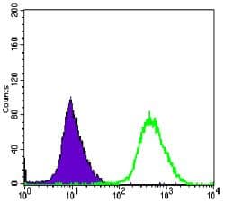 MAP2K6 / MEK6 / MKK6 Antibody (clone 3H12C8)