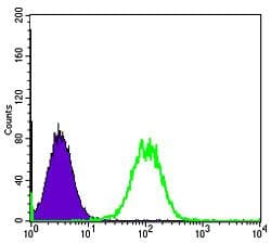 Monoclonal Mouse anti-Human MAP3K5 / ASK1 Antibody (clone 20000, IHC, IF, WB)