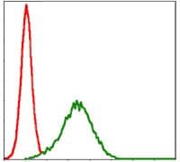 NQO1 Antibody (clone 1A11)