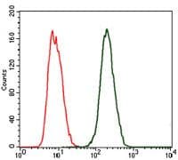CRP / C-Reactive Protein Antibody (clone 1G1)